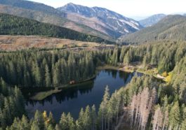 Vrbické pleso - Demänovská dolina, Jasná